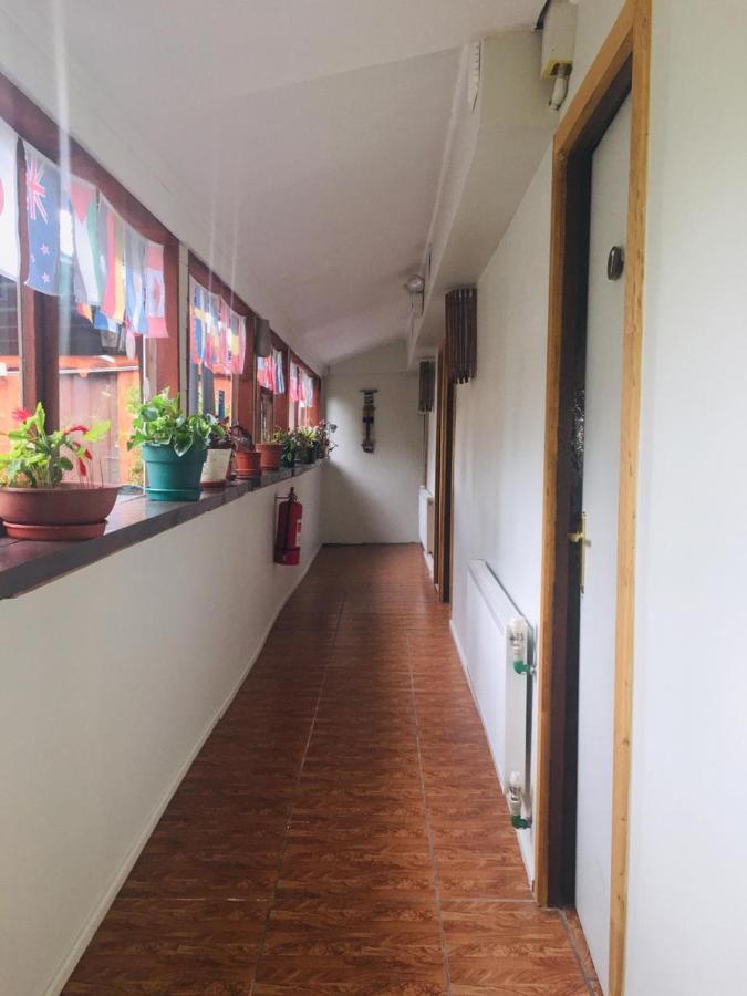 Hospedaje Irma Backpackers Pucon Ngoại thất bức ảnh